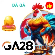 max88 Game 12